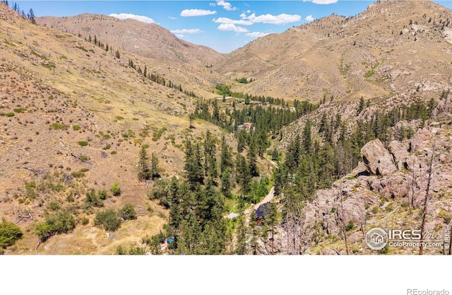 200 Falls Creek Dr, Bellvue, CO 80512 - view of mountain backdrop