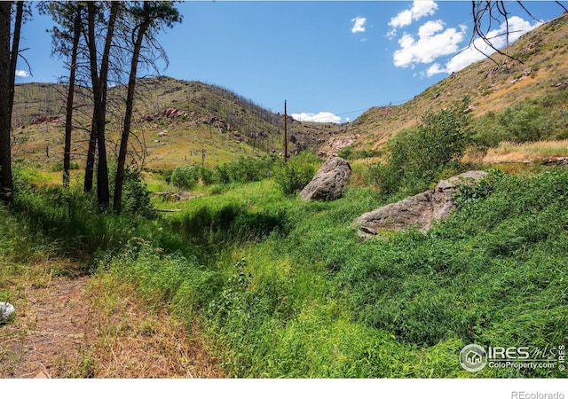 200 Falls Creek Dr, Bellvue, CO 80512 - view of mountain backdrop