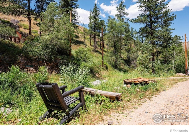 200 Falls Creek Dr, Bellvue, CO 80512 - view of yard