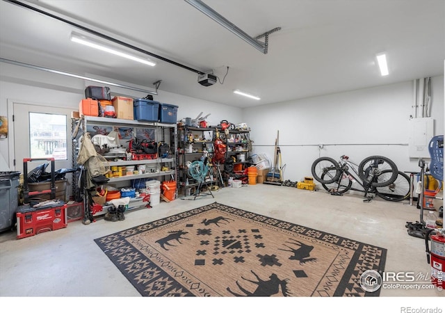 200 Falls Creek Dr, Bellvue, CO 80512 - garage featuring a garage door opener
