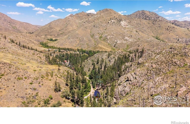 200 Falls Creek Dr, Bellvue, CO 80512 - mountain view