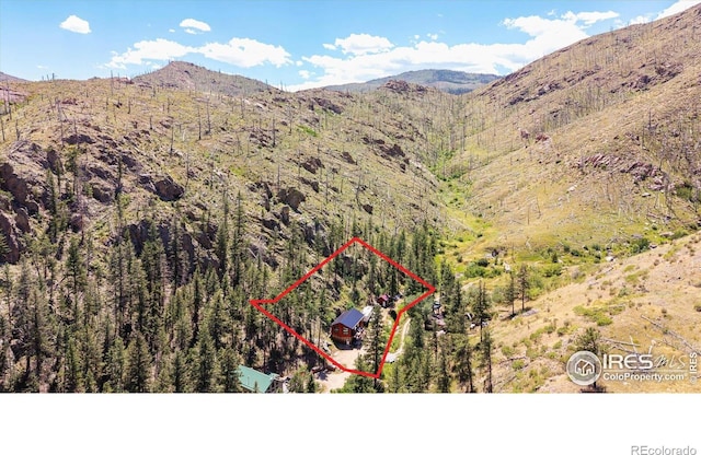 200 Falls Creek Dr, Bellvue, CO 80512 - view of mountain background