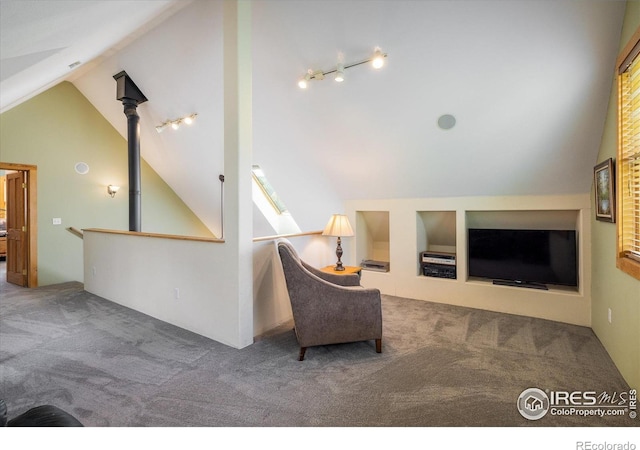 280 Hummer Dr, Nederland, CO 80466 - living area featuring carpet, vaulted ceiling, and rail lighting