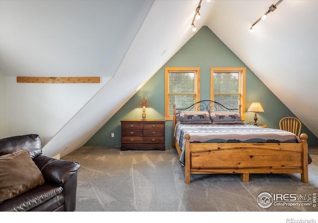 280 Hummer Dr, Nederland, CO 80466 - carpeted bedroom featuring rail lighting and lofted ceiling