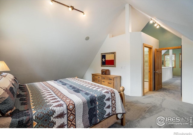 280 Hummer Dr, Nederland, CO 80466 - bedroom featuring lofted ceiling, carpet floors, and rail lighting