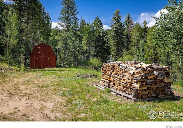 280 Hummer Dr, Nederland, CO 80466 - view of yard with a barn, an outdoor structure, and a wooded view