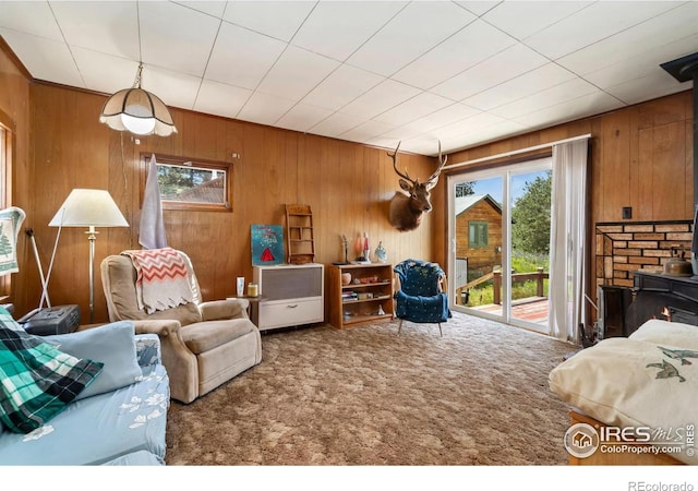 983 Ramona Dr, Red Feather Lakes, CO 80545 - carpeted bedroom featuring access to outside, multiple windows, wooden walls, and a wood stove