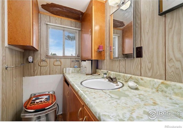 983 Ramona Dr, Red Feather Lakes, CO 80545 - bathroom featuring vanity and wood walls