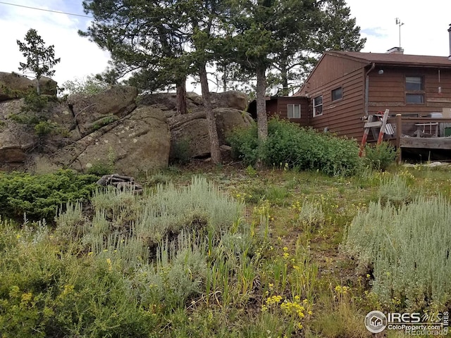 983 Ramona Dr, Red Feather Lakes, CO 80545 - view of yard