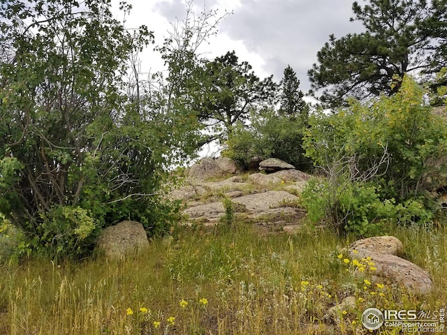 983 Ramona Dr, Red Feather Lakes, CO 80545 - view of local wilderness