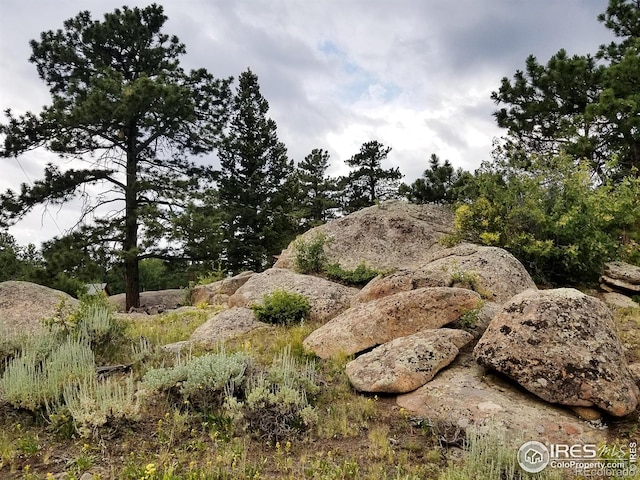 983 Ramona Dr, Red Feather Lakes, CO 80545 - view of local wilderness