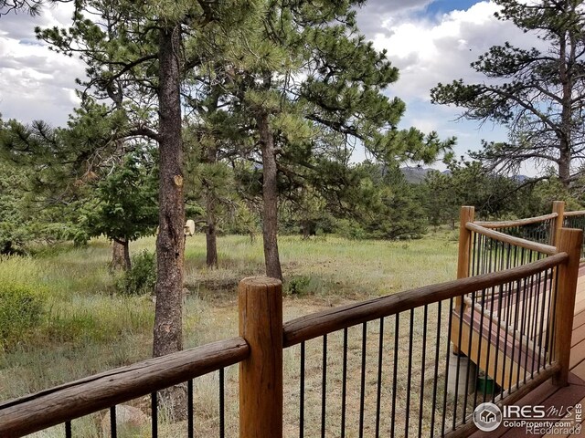 556 Bald Mountain Dr, Livermore, CO 80536
