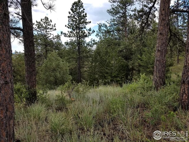 556 Bald Mountain Dr, Livermore, CO 80536
