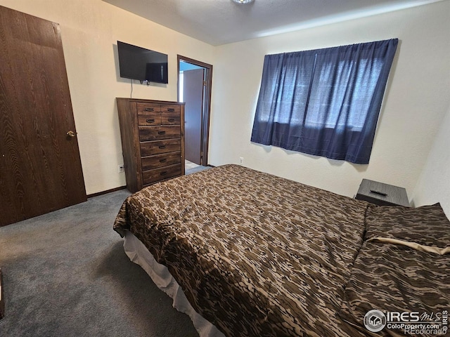 1402 Fillmore St, Sterling, CO 80751 - bedroom with carpet flooring