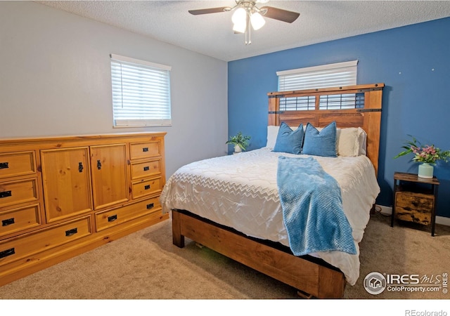 3802 W 7th St, Greeley, CO 80634 - photo 13