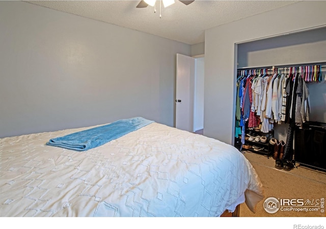 3802 W 7th St, Greeley, CO 80634 - photo 14