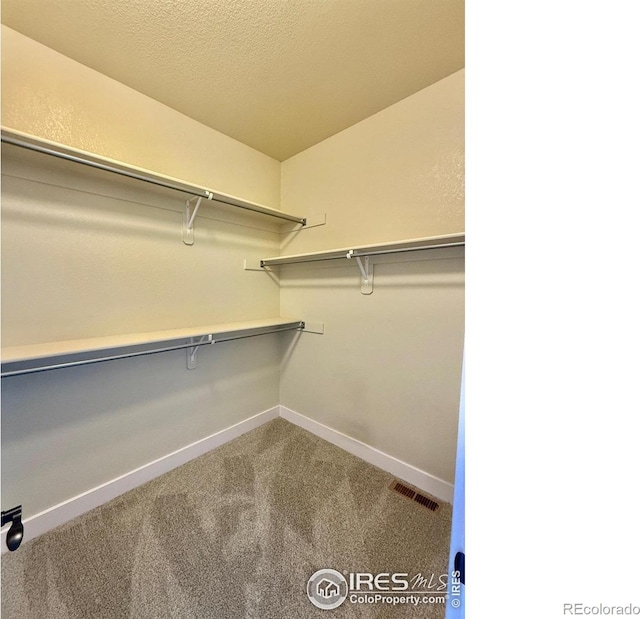 2110 Nancy Gray Ave, Fort Collins, CO 80525 - walk in closet featuring carpet floors