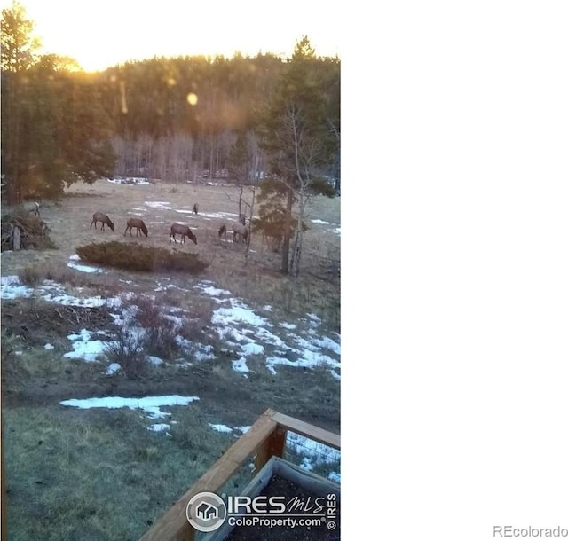 1001 County Road 86, Red Feather Lakes, CO 80545 - view of yard