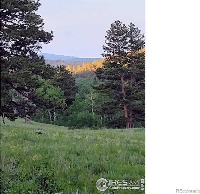 1001 County Road 86, Red Feather Lakes, CO 80545 - mountain view featuring a forest