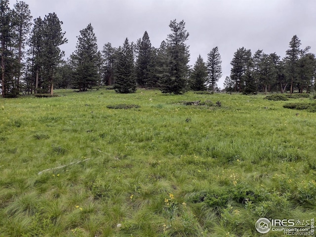 1001 County Road 86, Red Feather Lakes, CO 80545 - view of local wilderness