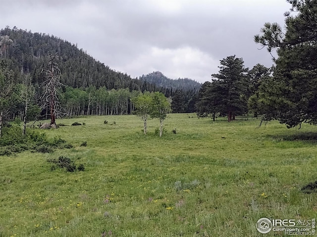1001 County Road 86, Red Feather Lakes, CO 80545 - view of mountain backdrop with rural landscape