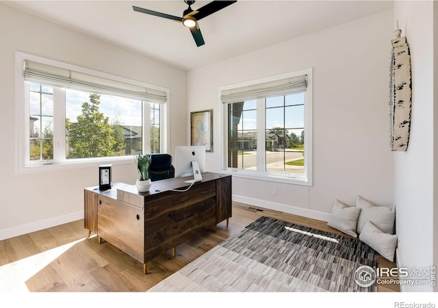 4198 Prestwich Ct, Timnath, CO 80547 - office featuring a ceiling fan, wood finished floors, and healthy amount of natural light