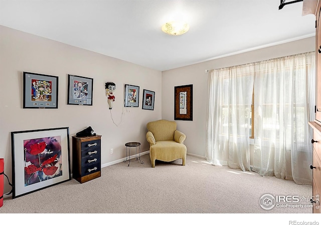 1470 71st Ave, Greeley, CO 80634 - sitting room featuring carpet flooring and baseboards