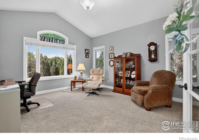 6349 Ashcroft Rd, Greeley, CO 80634 - photo 22