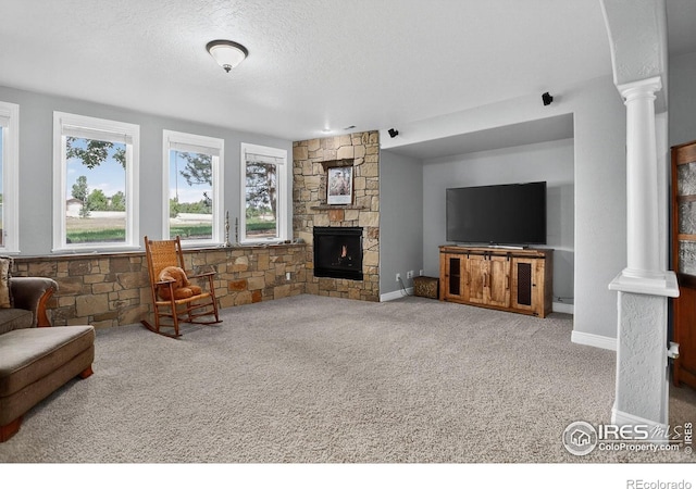6349 Ashcroft Rd, Greeley, CO 80634 - photo 32