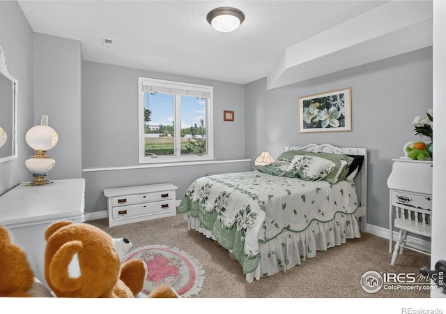 6349 Ashcroft Rd, Greeley, CO 80634 - photo 33