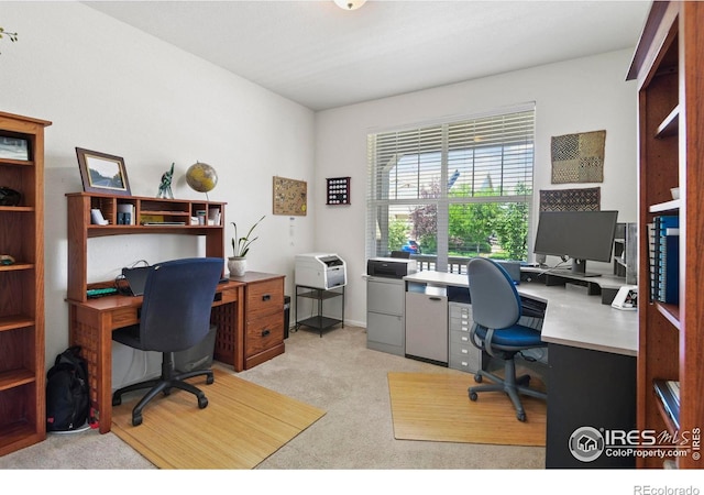 833 Carbonate Ln, Erie, CO 80516 - office space with light colored carpet