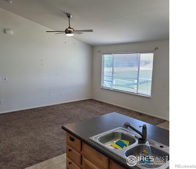 1570 Driftline Dr, Severance, CO 80550