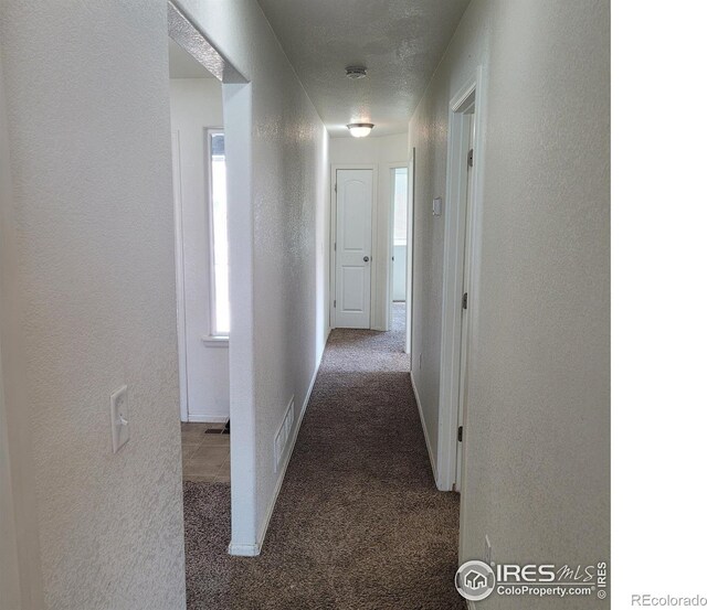 1570 Driftline Dr, Severance, CO 80550