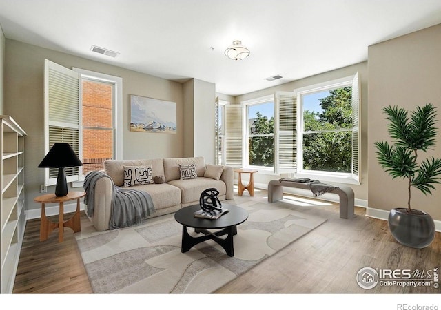 1631 N Emerson St Unit 207, Denver, CO 80218 - living room with wood finished floors