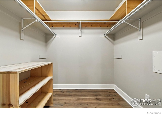 1631 N Emerson St Unit 207, Denver, CO 80218 - walk in closet featuring wood finished floors