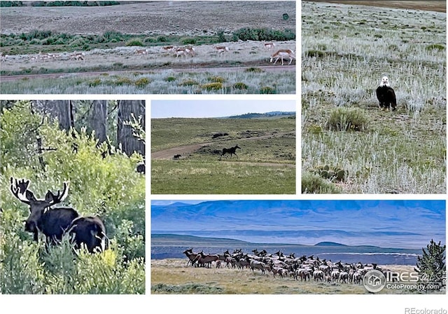 2780 Camel Rock Rd, Red Feather Lakes, CO 80545 - view of a document with multiple images