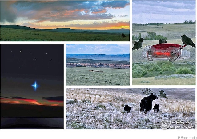 2780 Camel Rock Rd, Red Feather Lakes, CO 80545 - view of a document with a collage of images