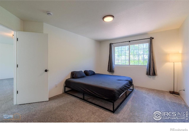 6126 Shamrock Cir, Frederick, CO 80530 - view of carpeted bedroom