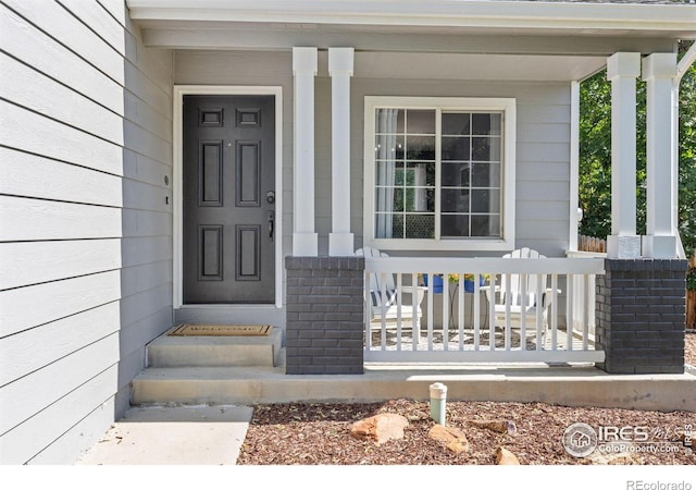 808 Nelson Park Dr, Longmont, CO 80503 - photo 4