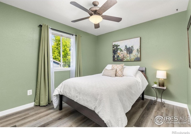808 Nelson Park Dr, Longmont, CO 80503 - photo 22