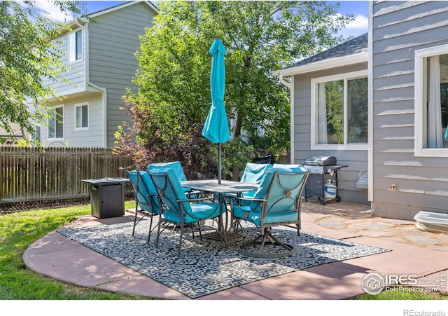 808 Nelson Park Dr, Longmont, CO 80503 - photo 27