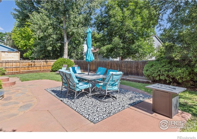 808 Nelson Park Dr, Longmont, CO 80503 - photo 29