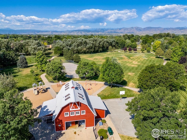808 Nelson Park Dr, Longmont, CO 80503 - photo 35
