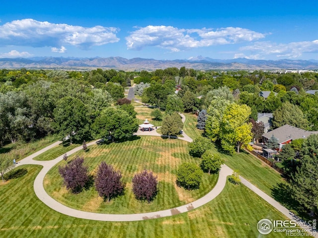 808 Nelson Park Dr, Longmont, CO 80503 - photo 40
