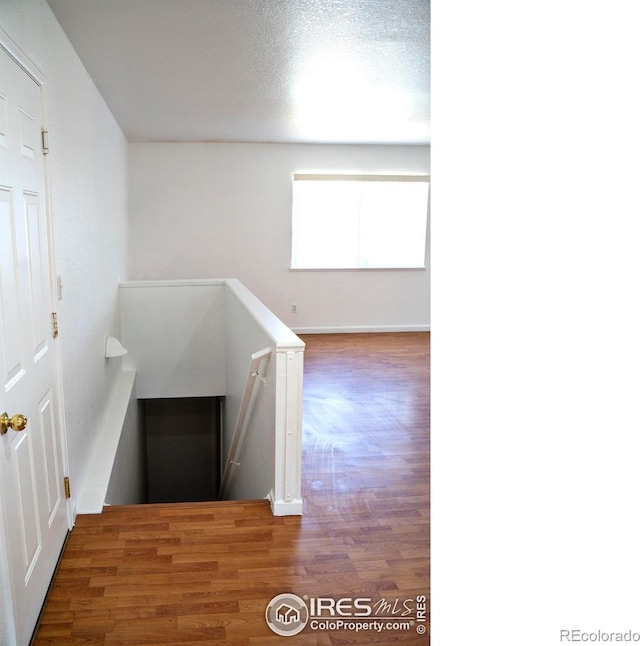 4616 Homestead Ct, Greeley, CO 80634 - stairway with wood finished floors