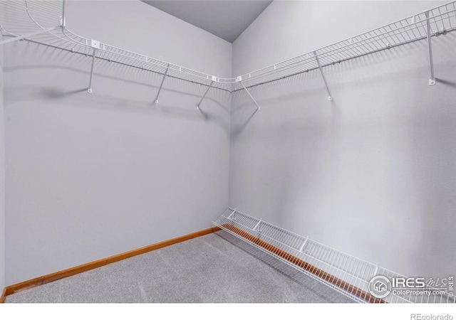 147 Keystone Trl, Broomfield, CO 80020 - spacious closet featuring carpet floors