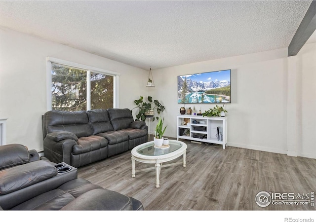 8201 Mummy Range Dr, Fort Collins, CO 80528 - photo 2