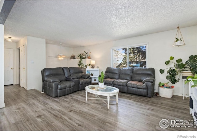 8201 Mummy Range Dr, Fort Collins, CO 80528 - photo 3