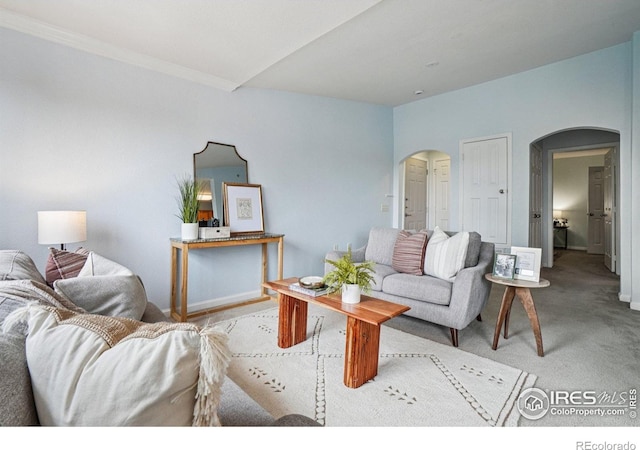 5620 Fossil Creek Pkwy Unit 6303, Fort Collins, CO 80525 - living area featuring arched walkways and carpet