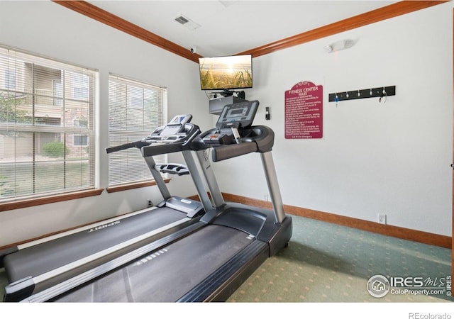 5620 Fossil Creek Pkwy Unit 6303, Fort Collins, CO 80525 - workout room featuring crown molding and carpet floors